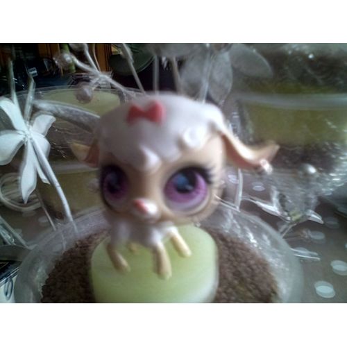 Petshop Mouton