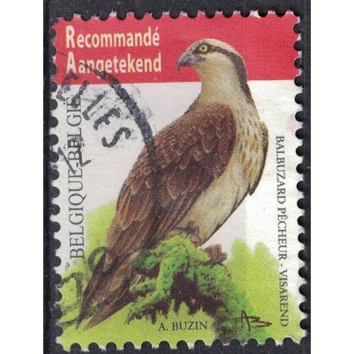 Belgique 2011 Oblitéré Used Oiseau Pandion Haliaetus Balbuzard Pêcheur Su