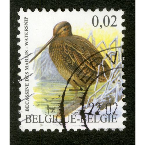 Timbre Oblitéré Belgique, Belgie, Bécassine Des Marais, 0,02