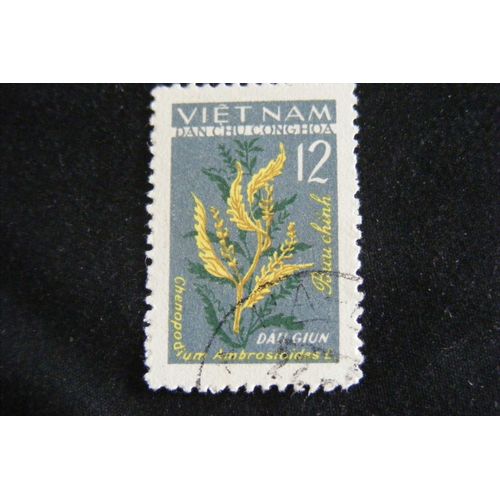 Plantes Médicinales (12) 1963