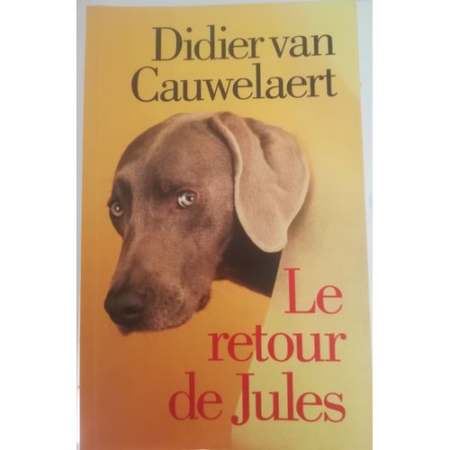 Le Retour De Jules