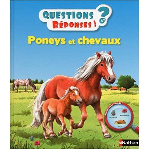 Questions/Reponses Chevaux Et Poneys