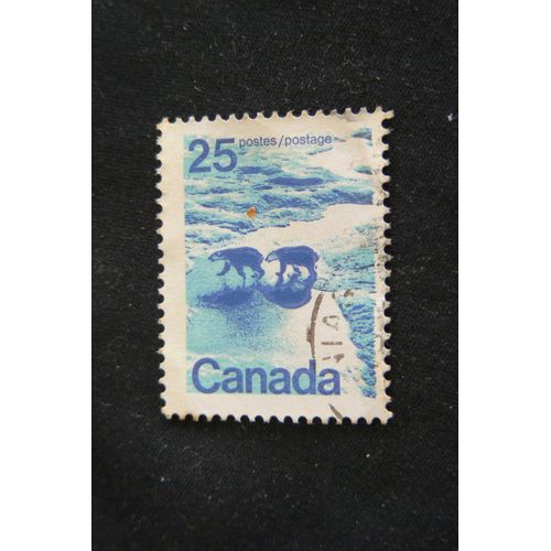 Ours Polaires Dans Le Nord Du Canada (25) 1972