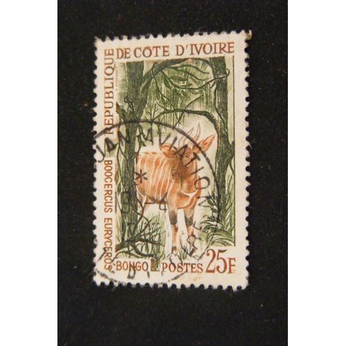 Bongo (25) 1963