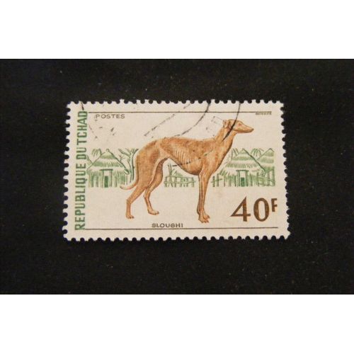 Animaux De Compagnie 1972