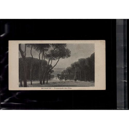 7 X 14 Cm Carte Postale En L Etat Sur Les Photos Beyrouth Promenade Des Pins