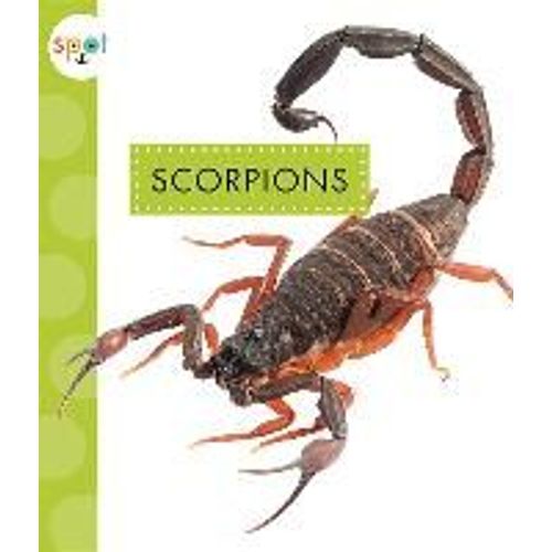 Scorpions