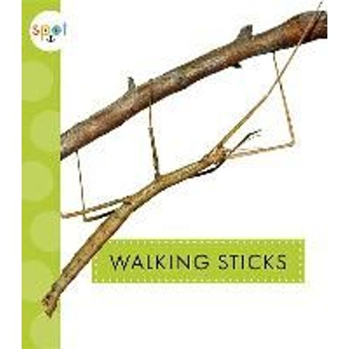 Walking Sticks
