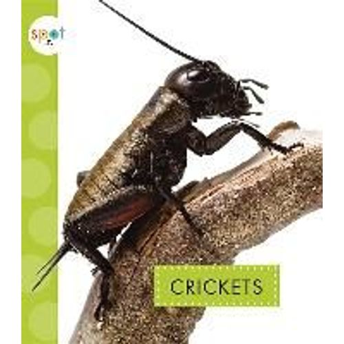 Crickets