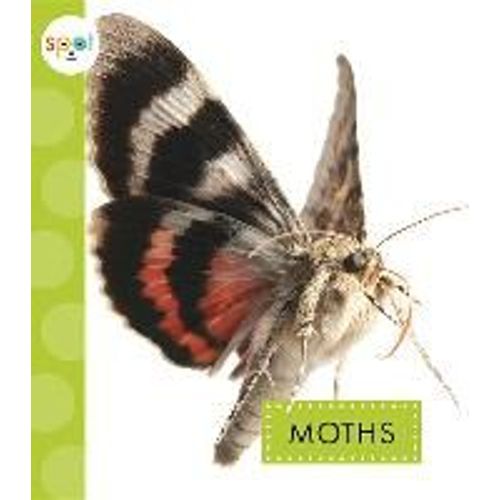 Moths