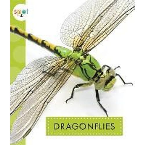 Dragonflies