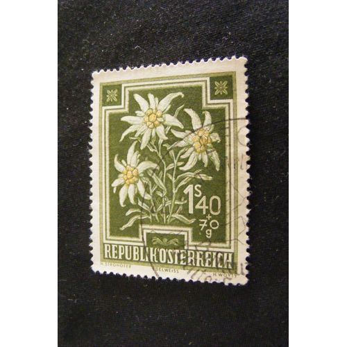 Fleurs (1,40+70) 1948