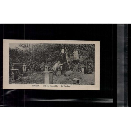 7 X 14 Cm Carte Postale En L Etat Sur Les Photos Rare ++ Odessa L¿Ecole Pouchkin Le Rucher