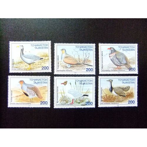 Tajikistan 1996 Faune Pajaros Oiseaux Yvert 75 / 80 ** Mnh