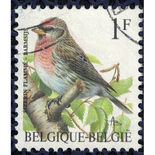 Belgique 1995 Oblitéré Used Oiseau Carduelis Flammea Sizerin Flammé