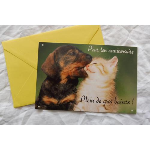 Carte D Anniversaire Avec Un Chaton Et Un Chiot Une Enveloppe Rakuten