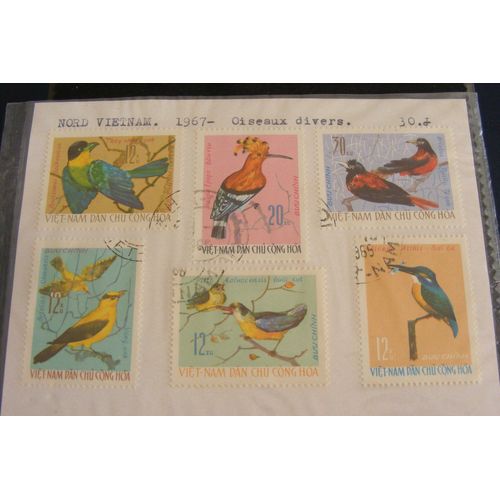 Oiseaux Indigènes 1966