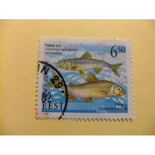 Estonia Estonie Eesti 2000 Yvert 372 Fu