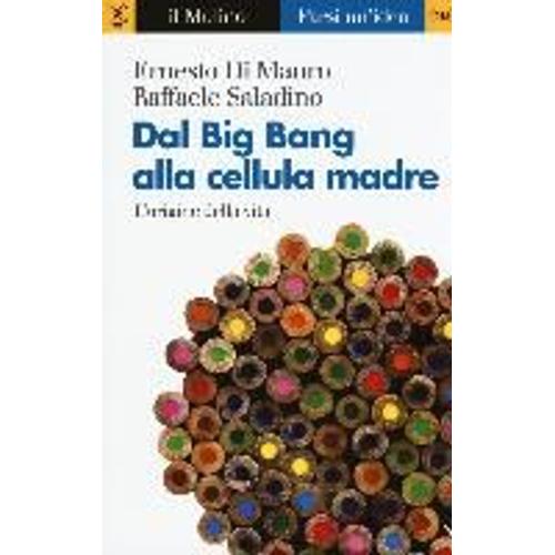 Saladino, R: Dal Big Bang Alla Cellula Madre. L'origine Dell