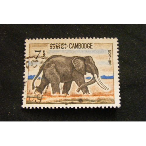 Animaux 1967