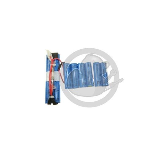 Batterie aspirateur Ergo rapido Electrolux, 4055132304