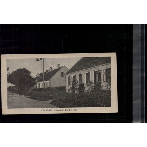 7 X 14 Cm Carte Postale En L Etat Sur Les Photos Taasinge : Avenue Des Troênes