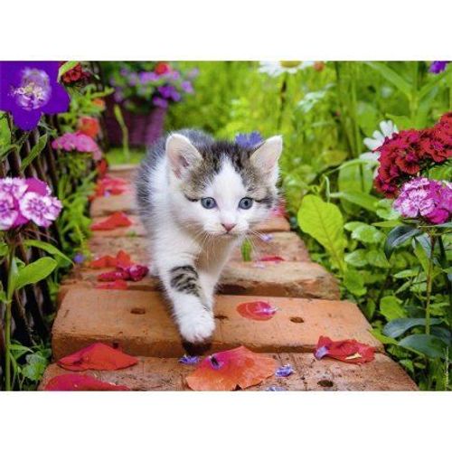 Puzzle Adulte : Petit Chat En Balade Dans Le Jardin - 500 Pieces - Nathan Collection Animaux - Chaton