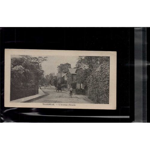 7 X 14 Cm Carte Postale En L Etat Sur Les Photos Taarbeak L'avenue Fleurie