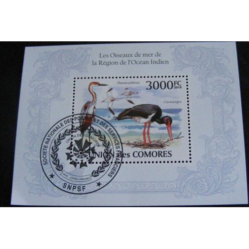 Les Oiseaux De La Région Océan Indien