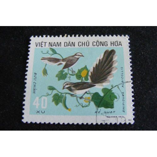 Oiseaux Dan Chu Công Hoa