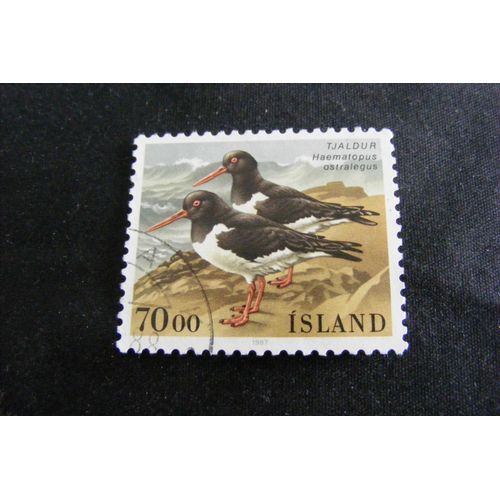 Oiseaux