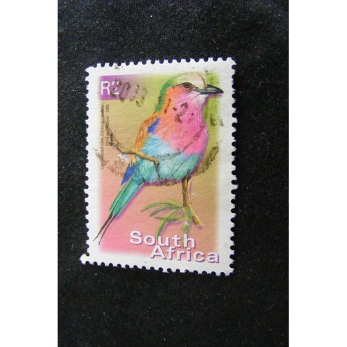 Oiseaux