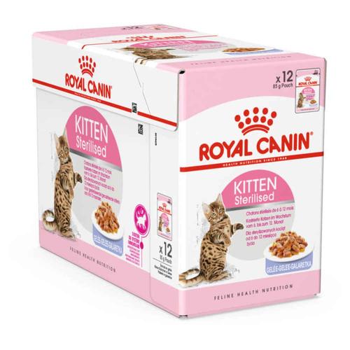 Royal Canin - Sachets Kitten Sterilised En Gelée Pour Chaton - 12x85g