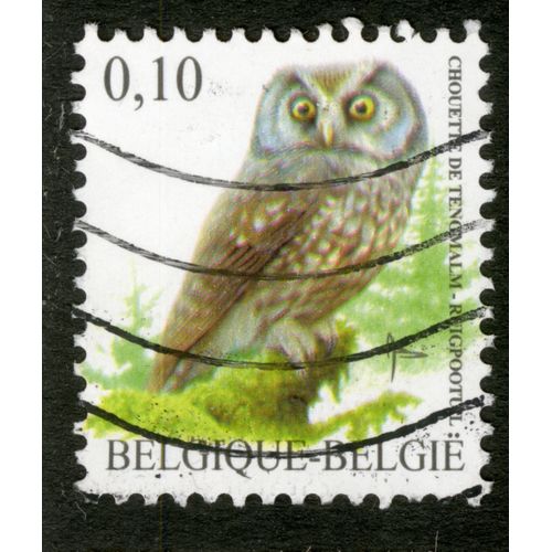 Timbre Oblitéré Belgique - België, Chouette De Tengmalm, 0.10