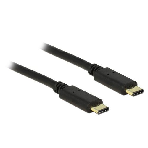 Delock - Câble USB - 24 pin USB-C (M) pour 24 pin USB-C (M) - USB 2.0 - 3 A - 2 m - noir