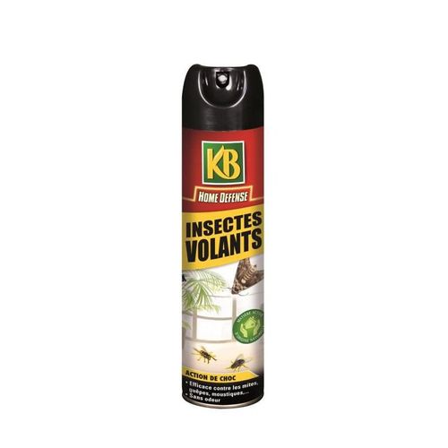 Kb Insectes Volants Aérosol - 400 Ml