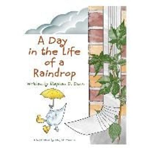 A Day In The Life Of A Raindrop