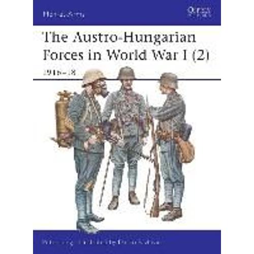 The Austro-Hungarian Forces In World War I (2): 1916-18