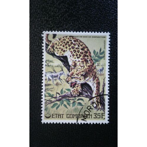 Timbre Comores Yt 172 Léopard (Panthera Pardus) 1976