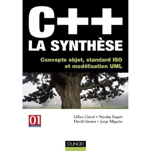 C++, La Synthèse