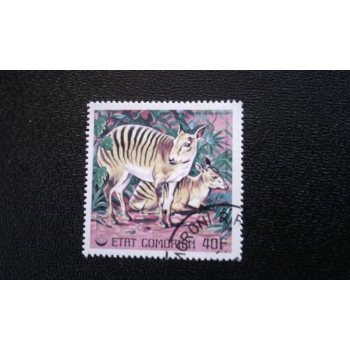 Timbre Comores Yt 177 Zebra Duiker (Cephalopus Zebra) 1977