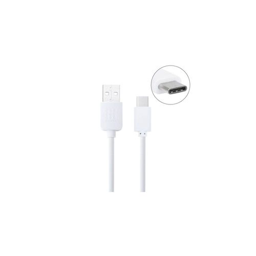 Câble USB Type-C vers USB 2.0 (Transfert de données et recharge)