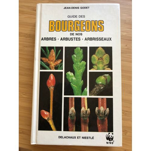 Guide Des Bourgeons De Nos Arbres Arbustes Arbrisseaux