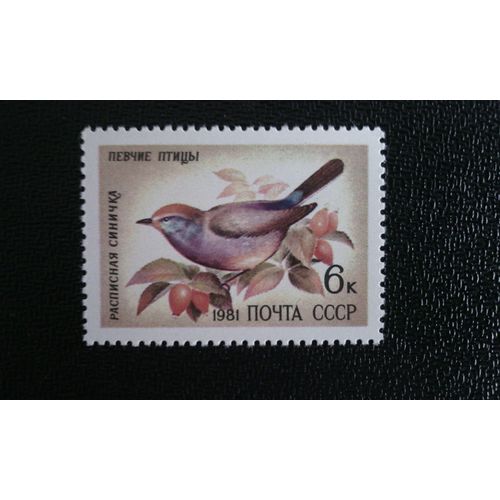 Timbre Russie Yt 4838 Paruline À Sourcils Blancs (Leptopoecile Sophiae) 1981