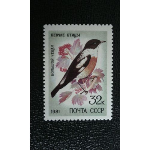Timbre Russie Yt 4842 Bavardage À Gorge Blanche (Saxicola Insignis) 1981