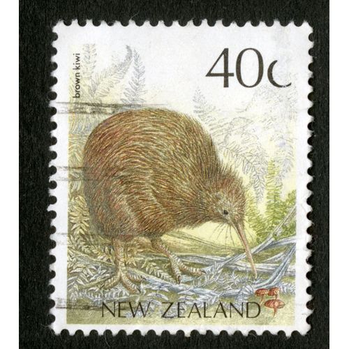 Timbre Oblitéré New Zealand, Brown Kiwi, 40 C