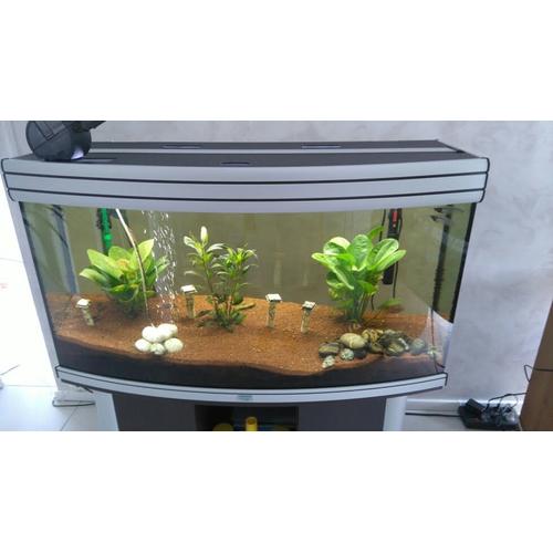 Aquarium 200 Litres + Deco