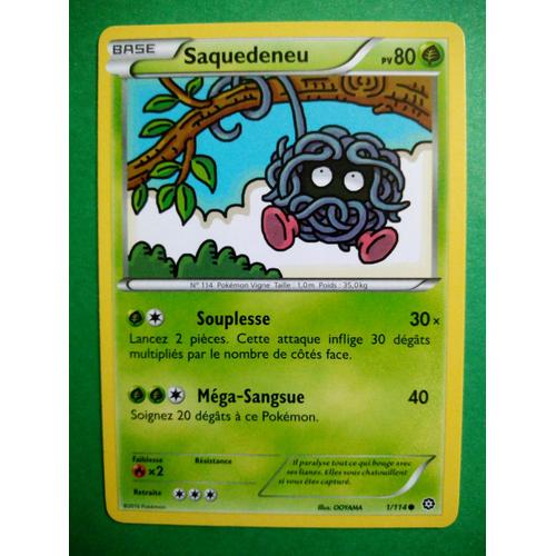 Saquedeneu 1/114 - Carte Pokémon Offensive Vapeur