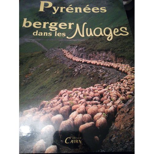 Pyrénées Berger Dans Les Nuages