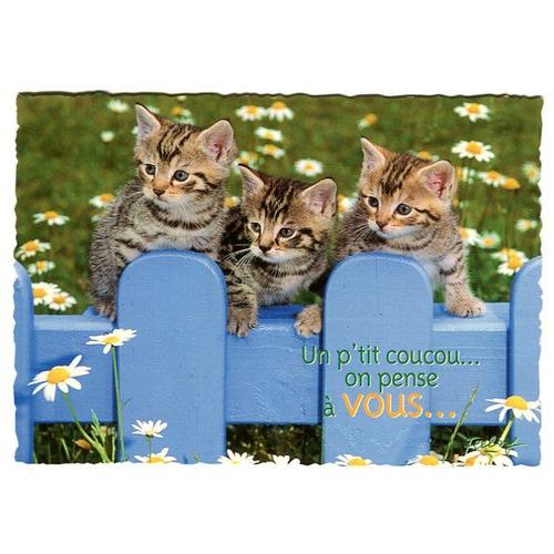 Carte Postale Feeling Un P Tit Coucou On Pense A Vous Rakuten